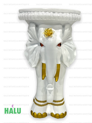 White Elephant Pedestal IFA or Santo/ Pedestal Dorado Elefante para Santo e IFA