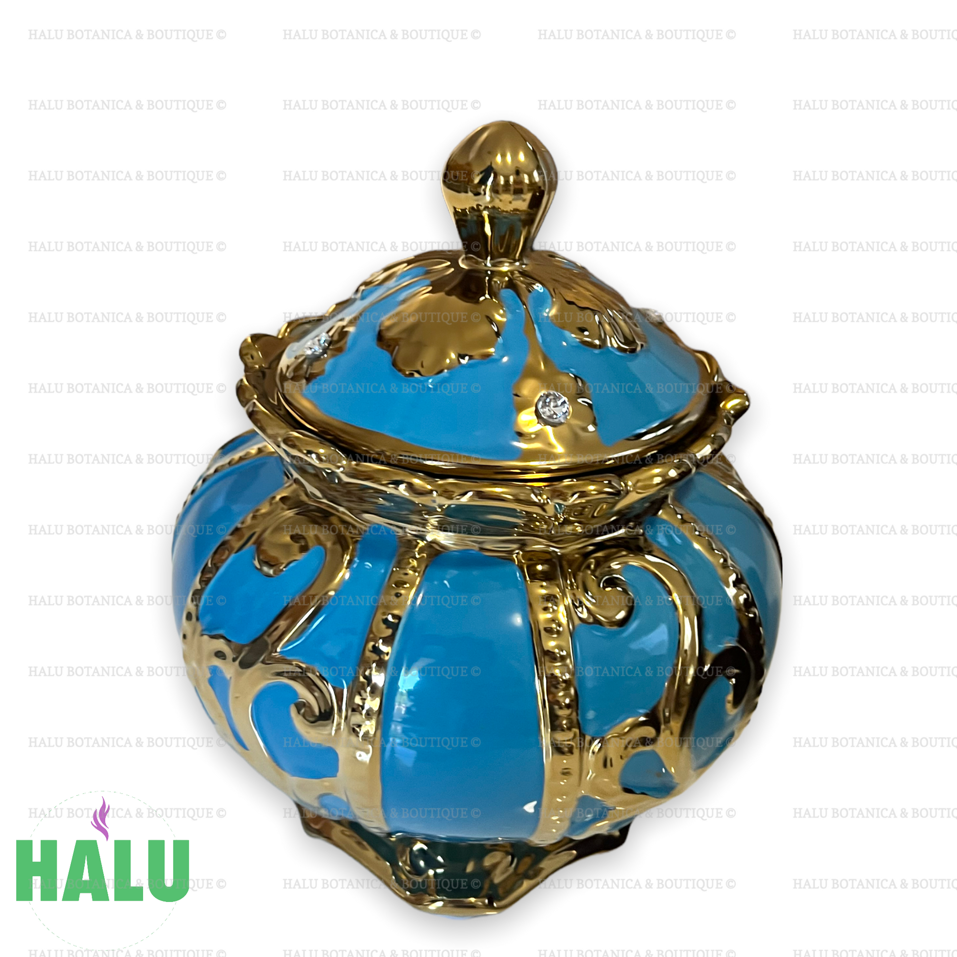 Sopera de Yemaya / Light Blue Tureen for Yemaya Asesu/ Santeria Osha