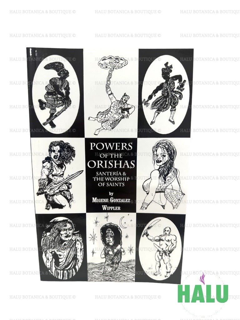 Diloggun Book/ Powers of the Orishas Book/ Libro Religion Lucumi/ Santeria