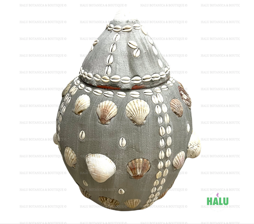 Tinaja Grande para Olokun decorada con Conchas de IFA/ Olokun IFA Babalawo